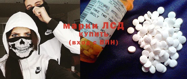 СК Пересвет