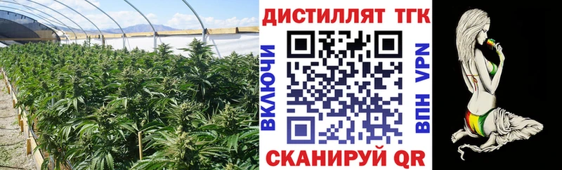 Купить закладки  Суздаль  ТГК Wax 