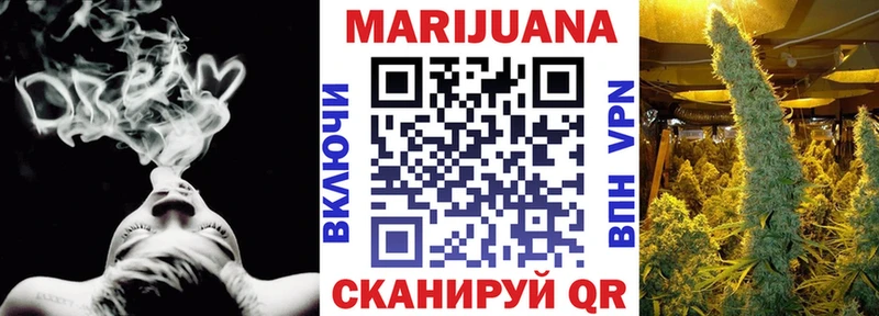 Купить закладки  Суздаль  Бошки марихуана AK-47 